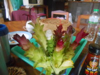 DSCN0244.JPG