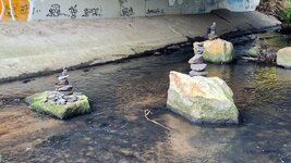 20260624_075518.jpg