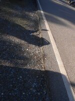 DSCN1603~2.JPG