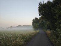 IMG_20260622_054556.jpg