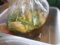 DSCN0053.JPG