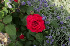 P1000129.JPG