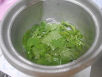 DSCN0046.JPG