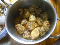 DSCN0058.JPG