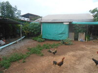 DSCN0200.JPG