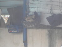 DSCN0223.JPG