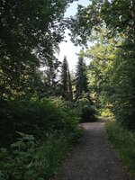 IMG_20260627_073202.jpg