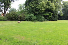 Duitsland-Hamburg ''Hagenbeck'' (18).JPG