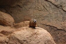 Duitsland-Hamburg ''Hagenbeck'' (20).JPG