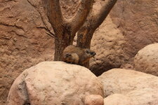 Duitsland-Hamburg ''Hagenbeck'' (21).JPG