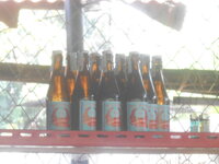 DSCN0262.JPG
