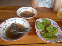 DSCN0255.JPG
