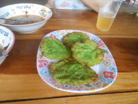 DSCN0254.JPG