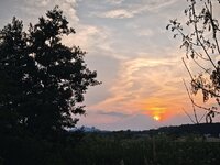 IMG_20260627_211647.jpg