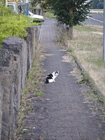 IMG_20260627_214448.jpg