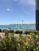 IMG_1387.jpeg