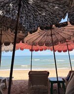 IMG_1388.jpeg