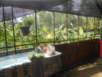 DSCN0259.JPG