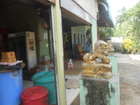 DSCN0272.JPG