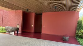 IMG_0825.jpeg