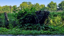20260625_082454.jpg