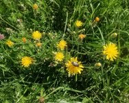 IMG_20260628_092050~2.jpg