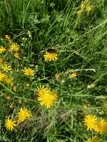 IMG_20260628_092223~2.jpg