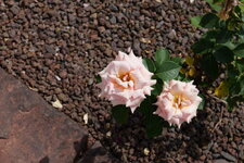 P1000133.JPG