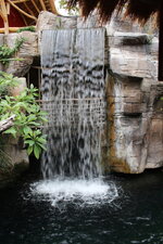 Duitsland-Hamburg ''Hagenbeck'' (31).JPG