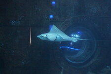 Duitsland-Hamburg ''Hagenbeck'' (38).JPG