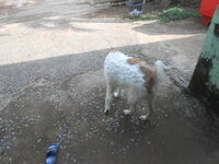 DSCN0279.JPG