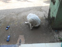 DSCN0278.JPG