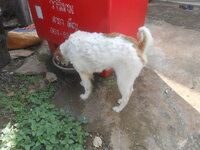 DSCN0280.JPG