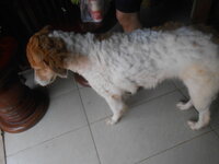 DSCN0282.JPG