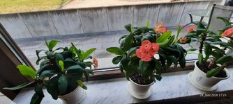 20260628_171547.jpg