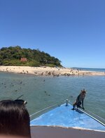 IMG_1392.jpeg
