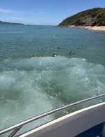 IMG_1393.jpeg