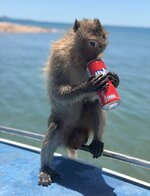 IMG_1394.jpeg
