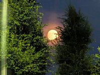 PXL_20260628_204703556.jpg