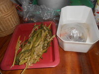 DSCN0305.JPG