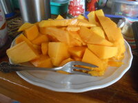 DSCN0315.JPG