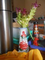 DSCN0317~2.JPG