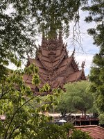 IMG_1381.jpeg