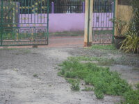 DSCN0320.JPG
