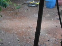 DSCN0322.JPG