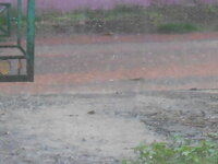 DSCN0321.JPG