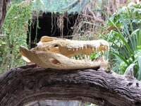 Duitsland-Hamburg ''Hagenbeck'' (49).JPG