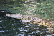 Duitsland-Hamburg ''Hagenbeck'' (55).JPG