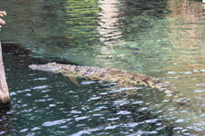 Duitsland-Hamburg ''Hagenbeck'' (56).JPG