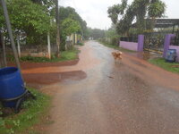 DSCN0439.JPG